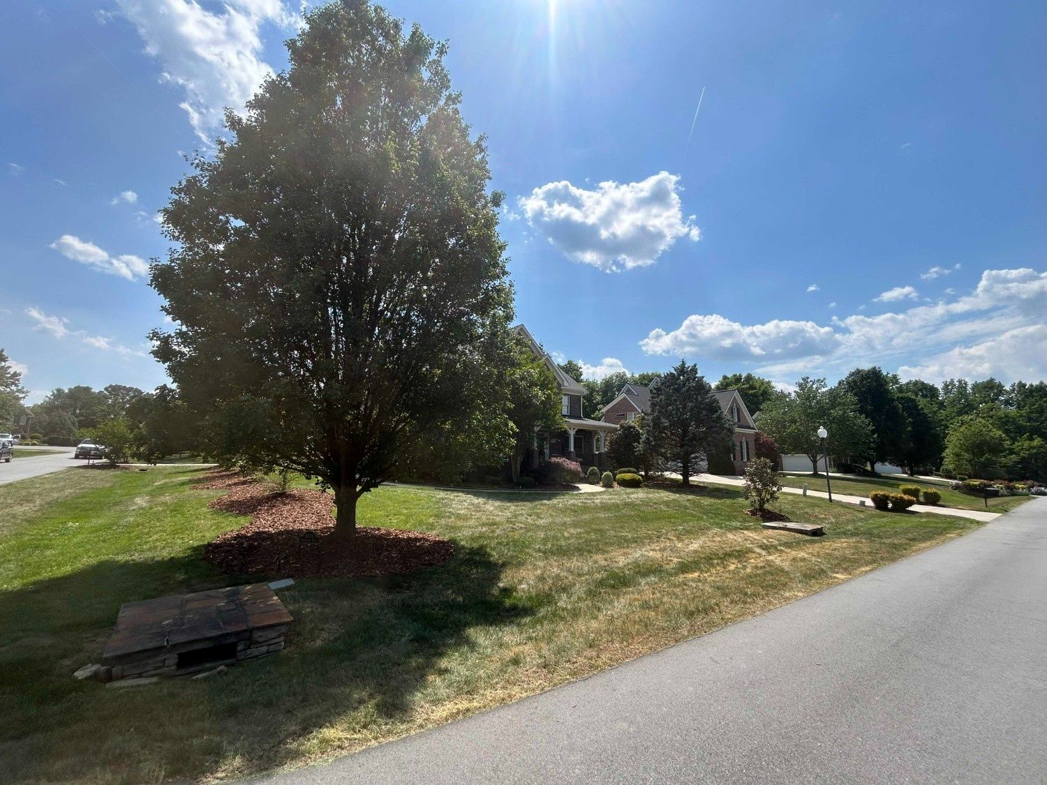 Sunny suburban roadside with trees, grass, and houses under a blue sky.