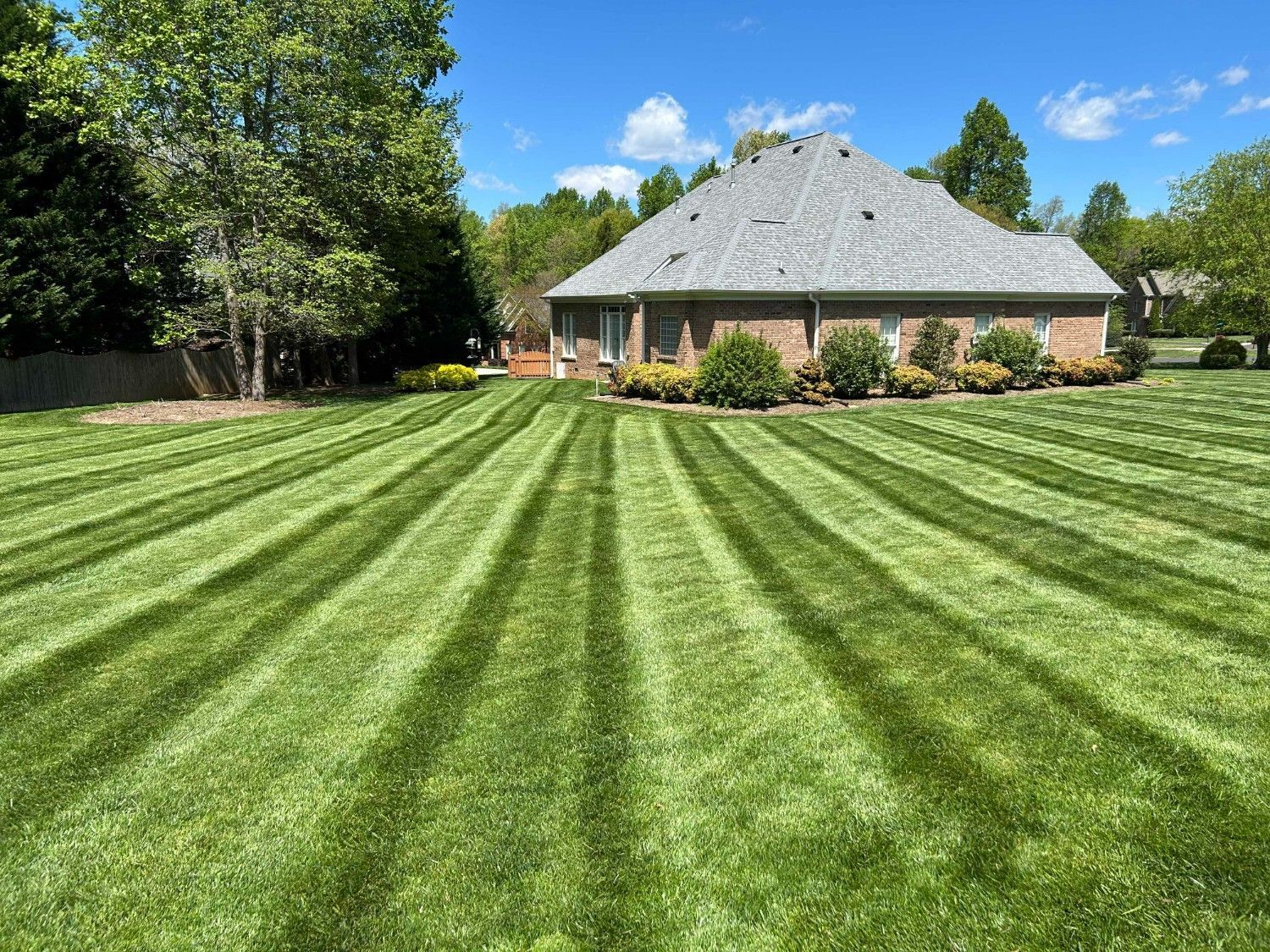 Well-manicured striped lawn in front of a brick house with trees and shrubs under a clear sky