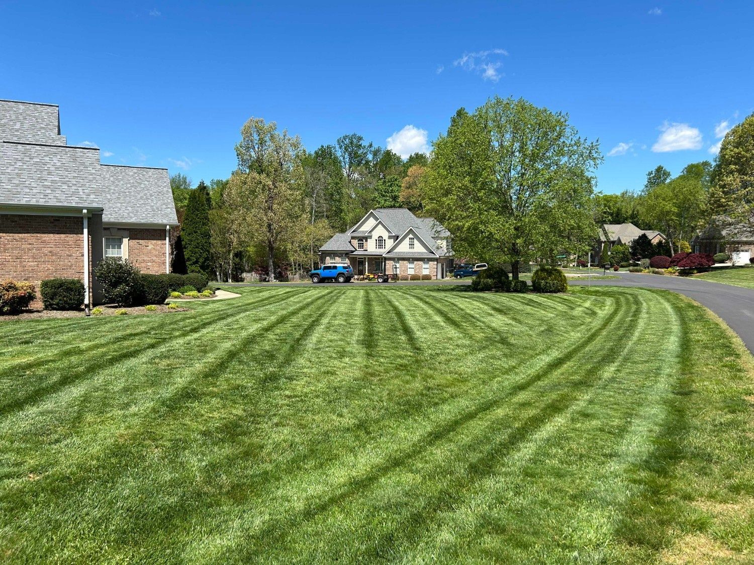 Freshly mowed suburban lawn with striped grass, houses, trees, and a blue sky