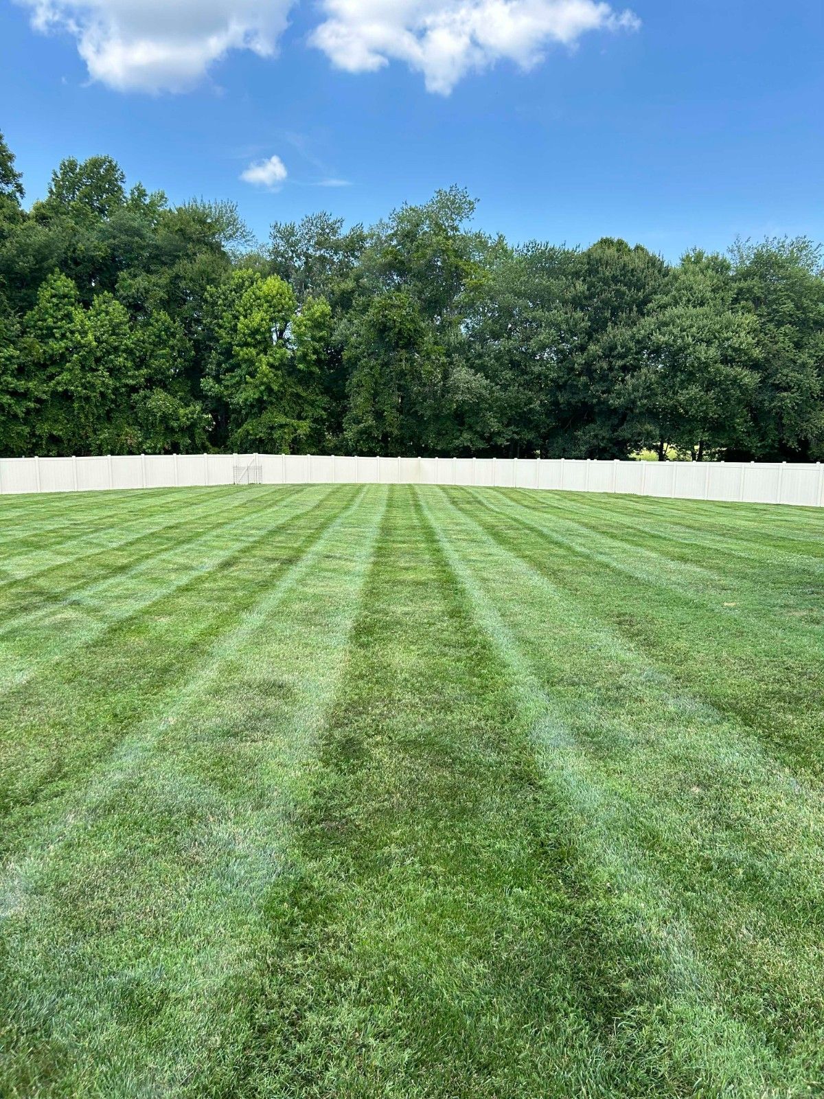 Freshly mowed green lawn under a blue sky, bordered by a white fence and trees.