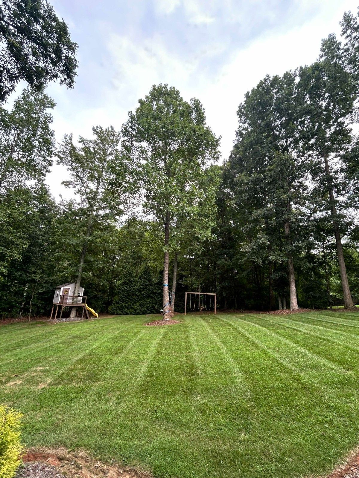 Wide grassy backyard with tall trees, a playset on the left, and a small swing set near the center.