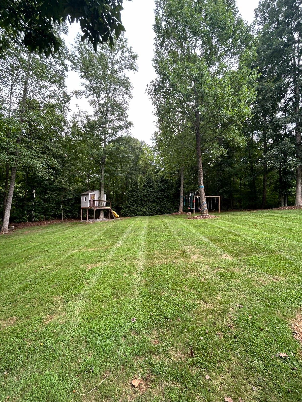 Grassy park clearing with trees and a small wooden play structure in the background