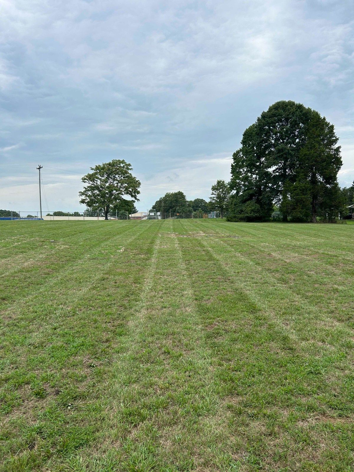 Grassy field under cloudy sky with a few trees in the distance