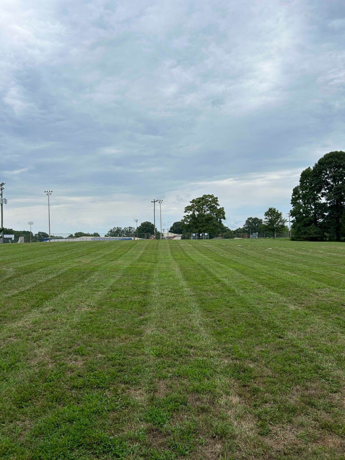 Grassy open field under cloudy sky, with trees and light poles in the distance
