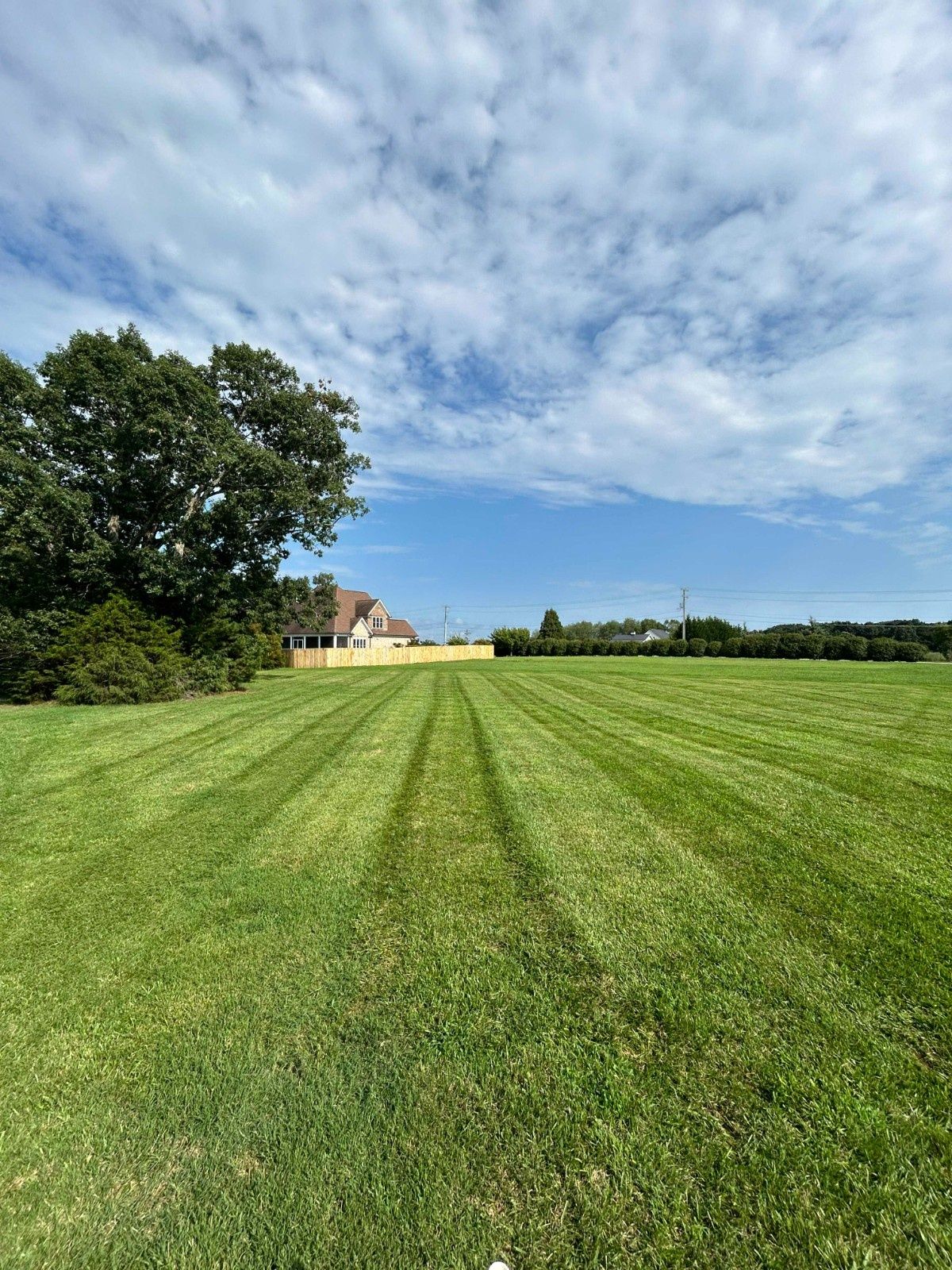 Wide green lawn with mowed stripes, trees on the left, and a cloudy blue sky over a distant building.