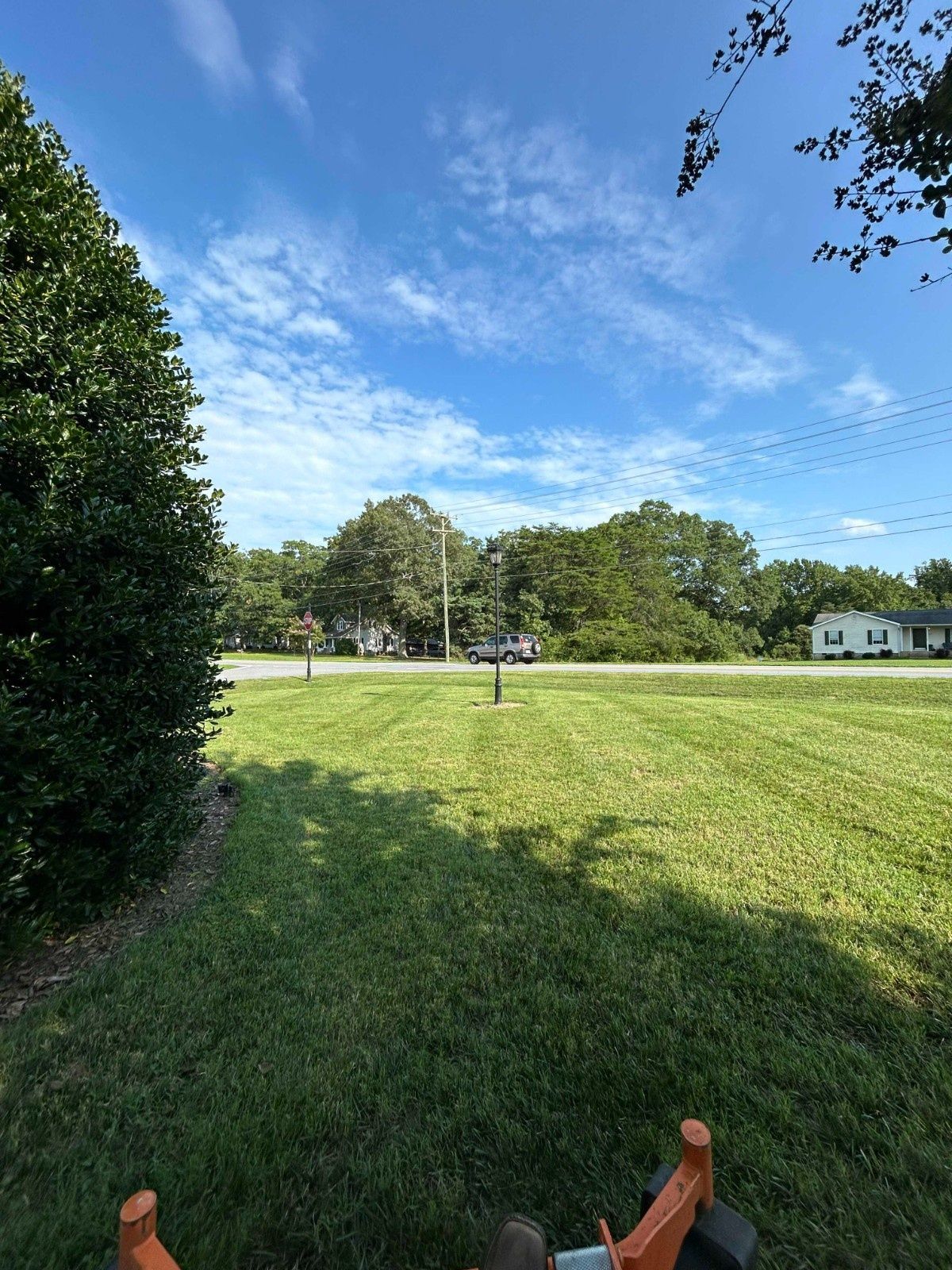 Grassy park with trees, blue sky, and a distant white house on the right, viewed from a shaded foreground.