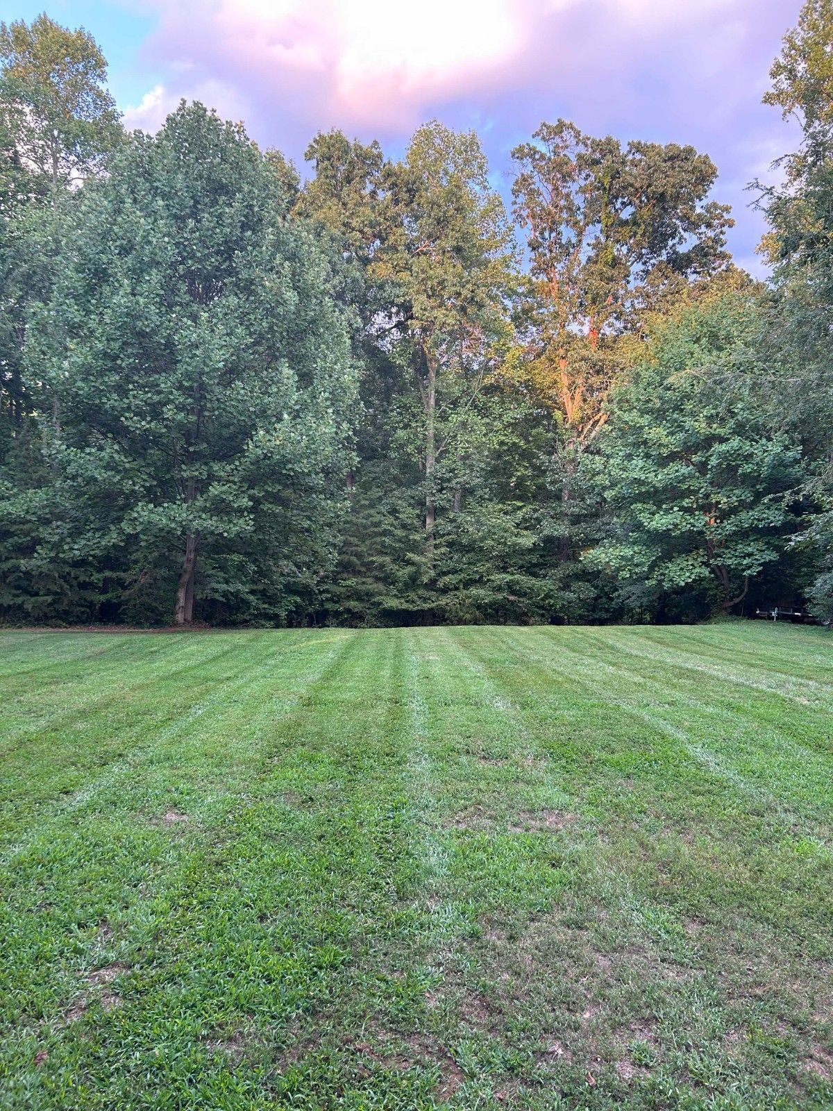 Freshly mowed green lawn with trees under a pink and purple sky