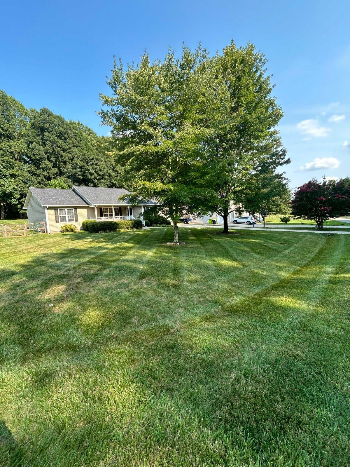 Sunny lawn with a large tree beside a small stone house under a clear blue sky