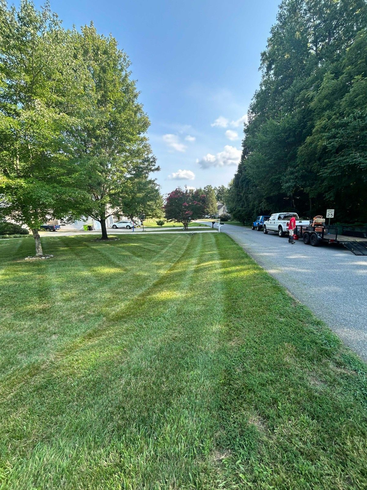 Grassy park strip beside a gravel road lined with parked cars and trees under a blue sky