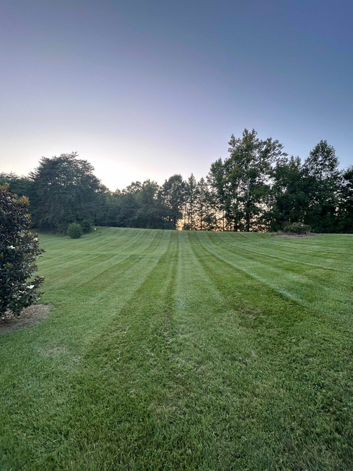Grassy field at dusk with mowed stripes, trees lining the edges, and a pale sky at sunset