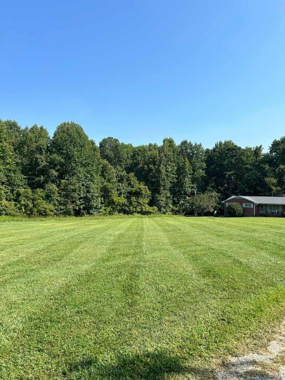 Wide green lawn under a clear blue sky, bordered by dense trees and a small building on the right.