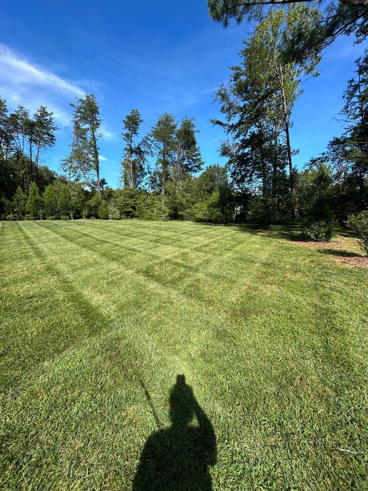 Sunny mowed lawn with trees under a blue sky, with a person's shadow in the foreground