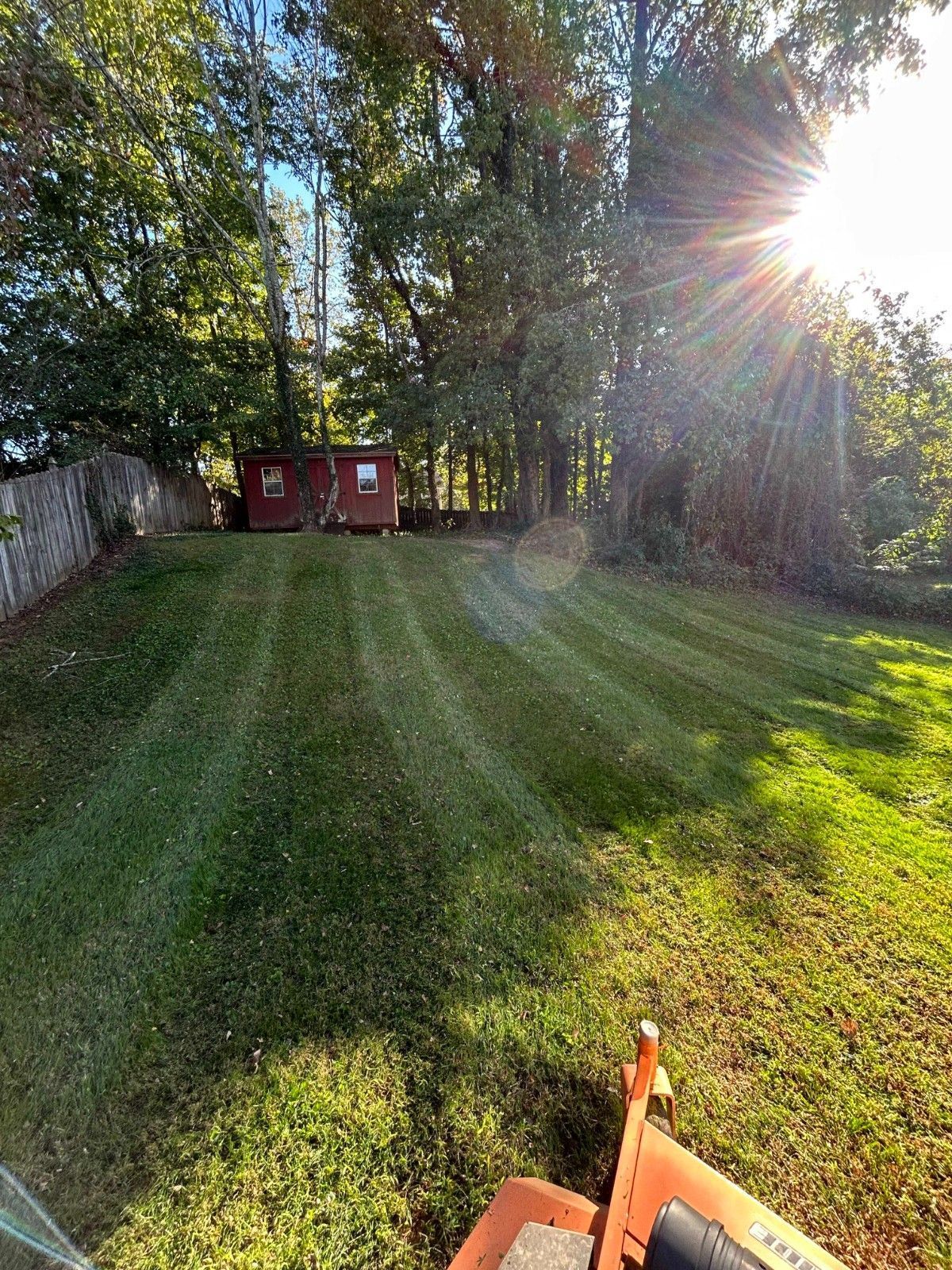 Sunlit grassy backyard with trees and red shed, viewed from a lawn mower at bottom right