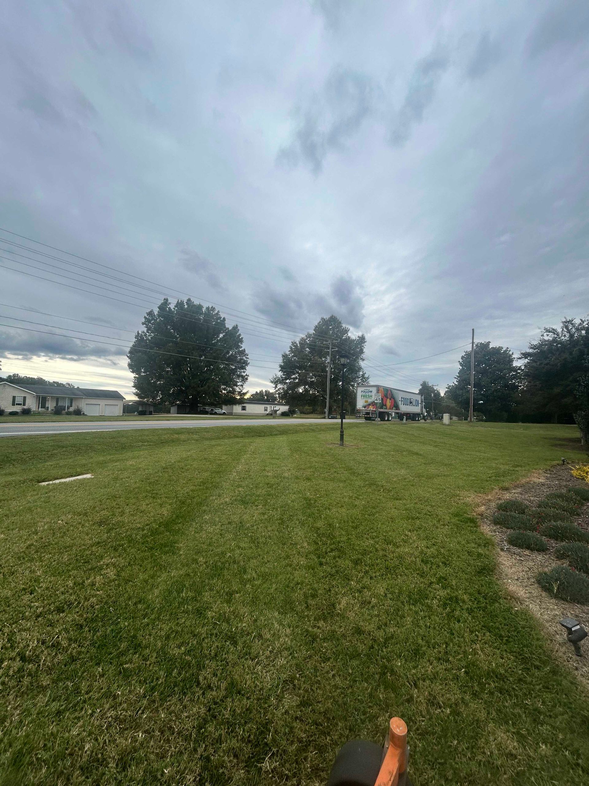 Grassy roadside field under a cloudy sky, with trees and a street in the distance.