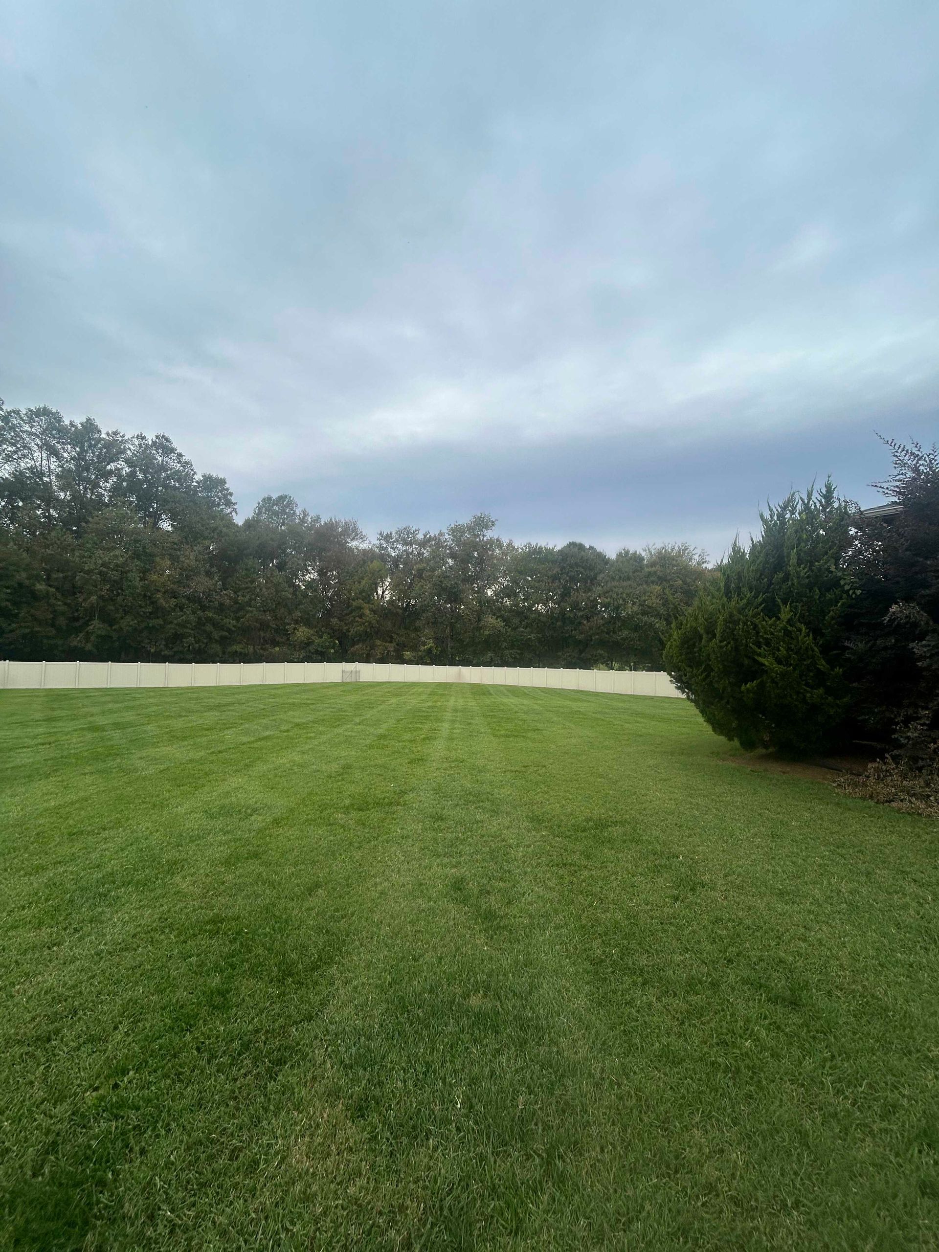 Grassy yard with trees and a cloudy sky, bordered by a white fence