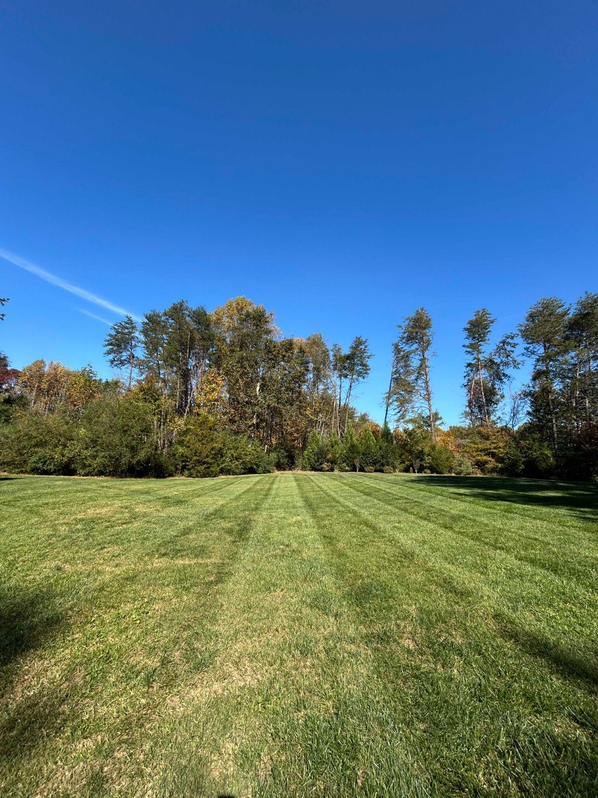 Wide grassy field with freshly mowed stripes, bordered by trees under a clear blue sky.