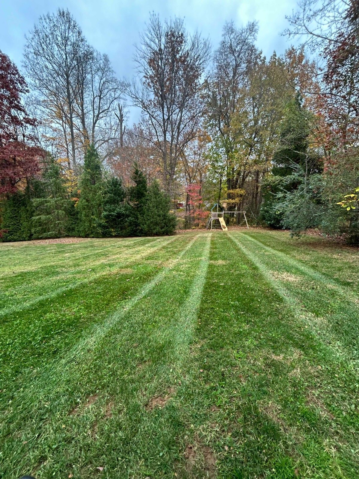 Grassy backyard with mowed stripes, bordered by trees under a cloudy sky