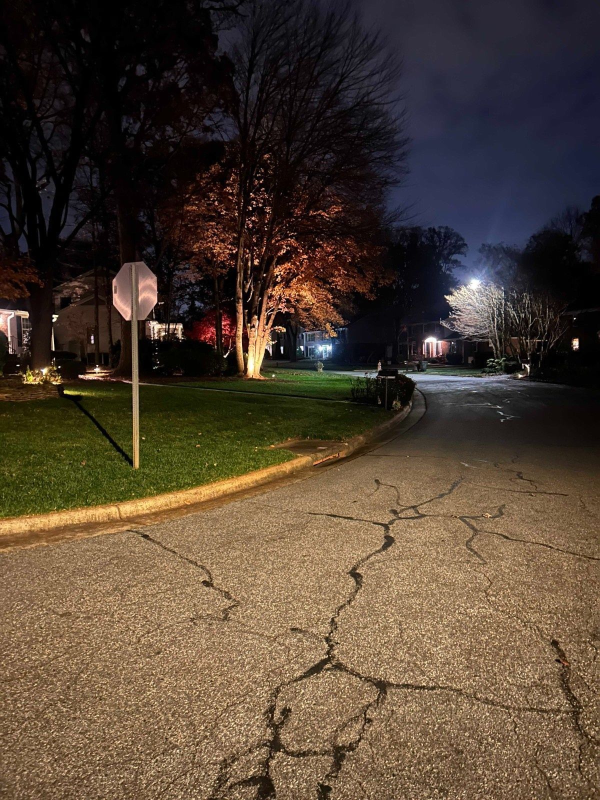 Quiet residential street at night with cracked pavement, stop sign, glowing trees, and streetlights