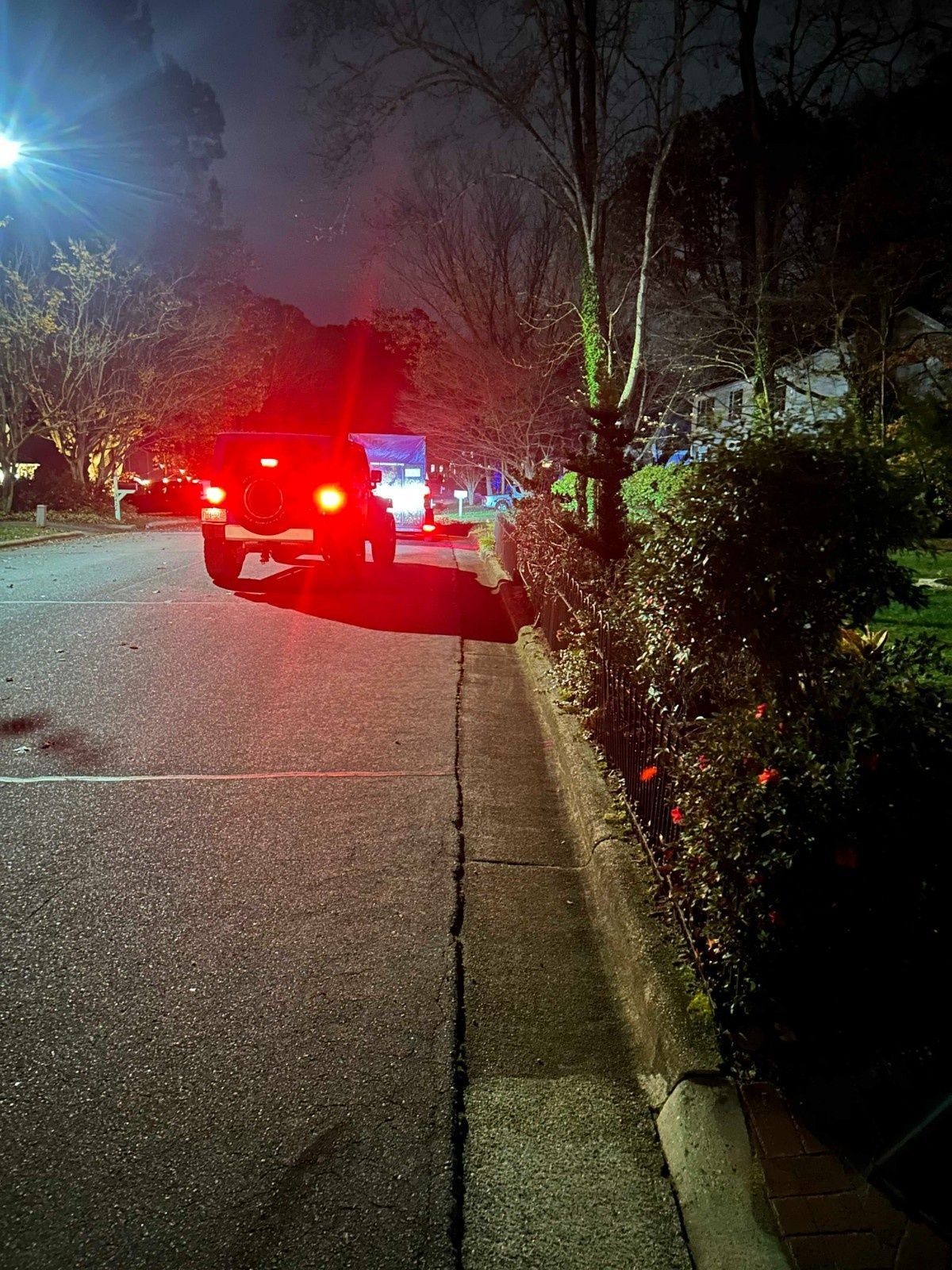 Night street with a stopped car displaying bright red taillights near bushes and trees on the roadside.