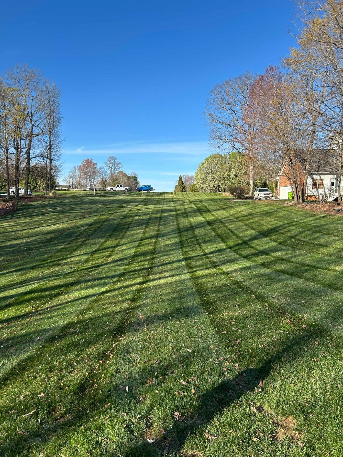 Sunny grassy field with long tree shadows, blue sky, and houses at the edges