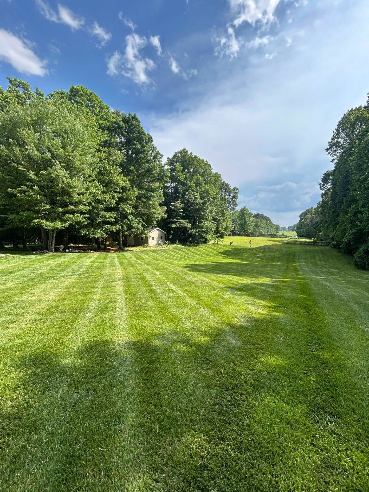 Sunny grassy field with striped mowing lines, bordered by trees under a blue sky with clouds