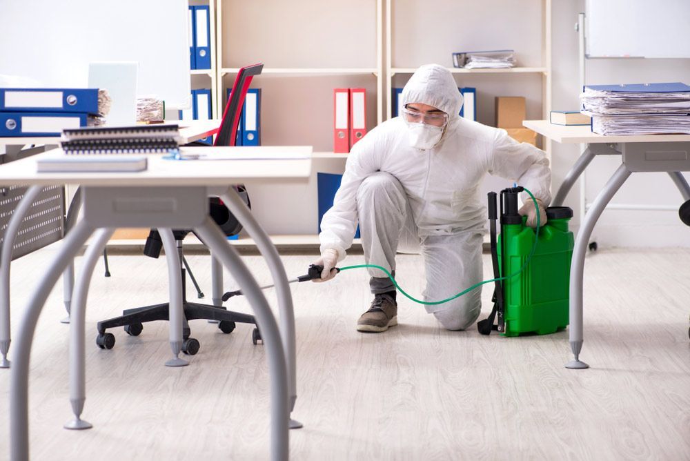 A Person in Protective Gear Spraying Insecticide in an Office — Pest Pro Whitsundays in Collinsville, QLD