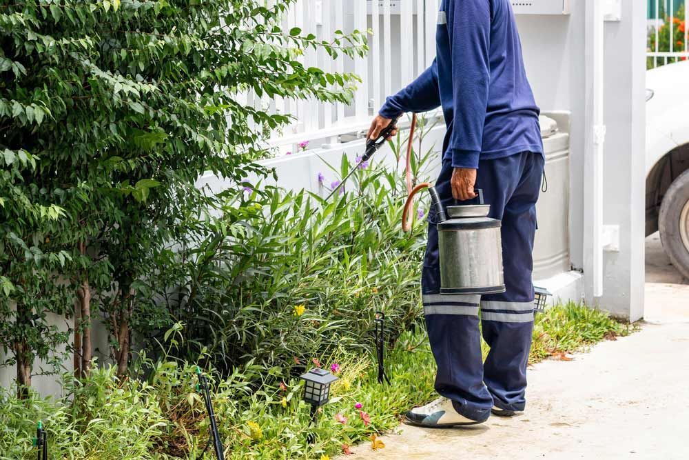 Person Spraying a Garden for Pest Control Next to a Fence — Pest Pro Whitsundays in Collinsville, QLD