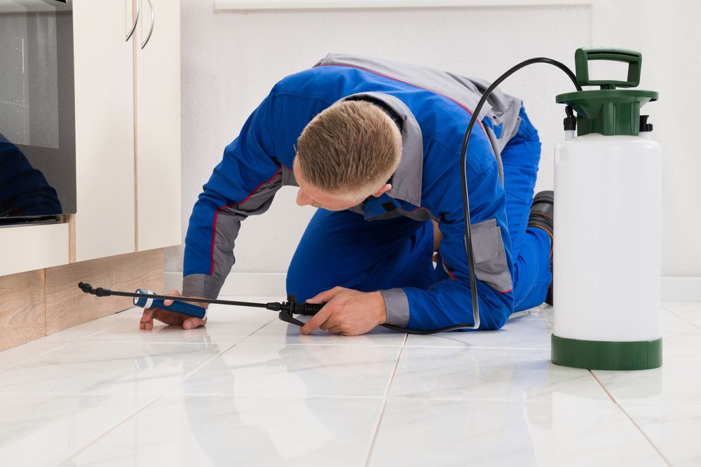 Pest Control Worker in Blue Jumpsuit Spraying a Floor Near Cabinets — Pest Pro Whitsundays in Collinsville, QLD