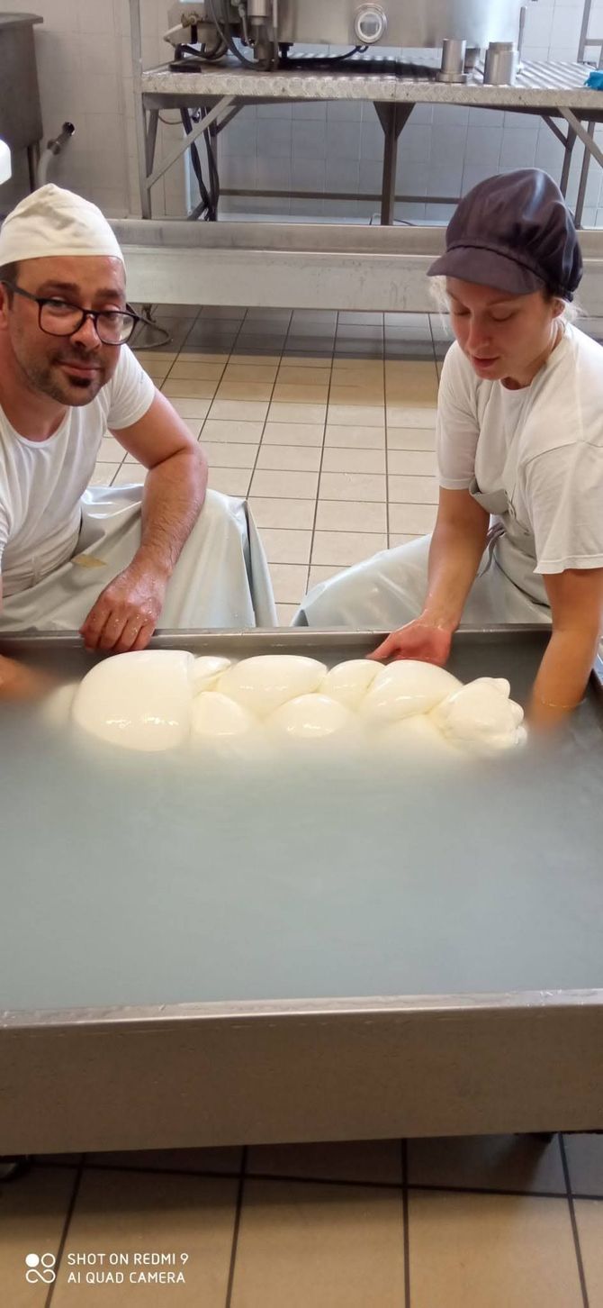lavorazione mozzarelle caseificio tascolano