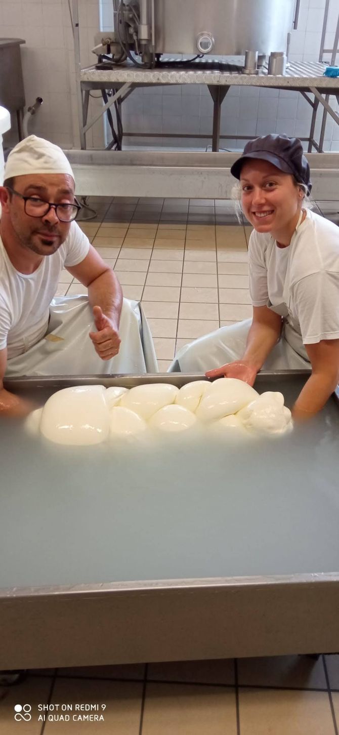 treccia di mozzarella