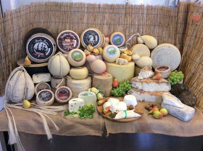 formaggi produzione del caseificio tascolano
