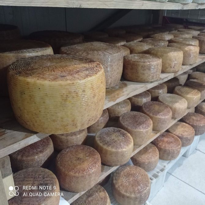 formaggi in stagionatura
