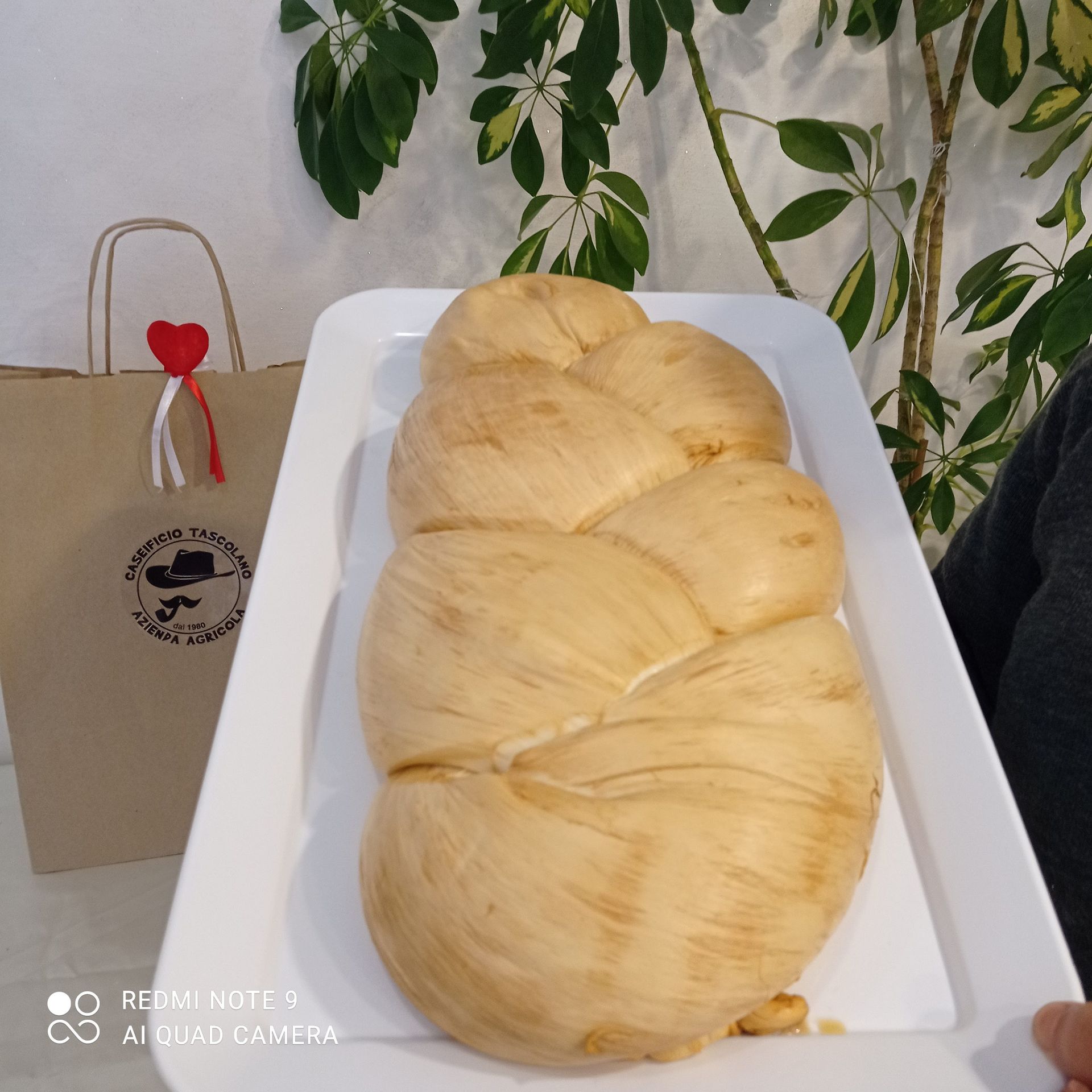 formaggi pasta filata tascolano 11