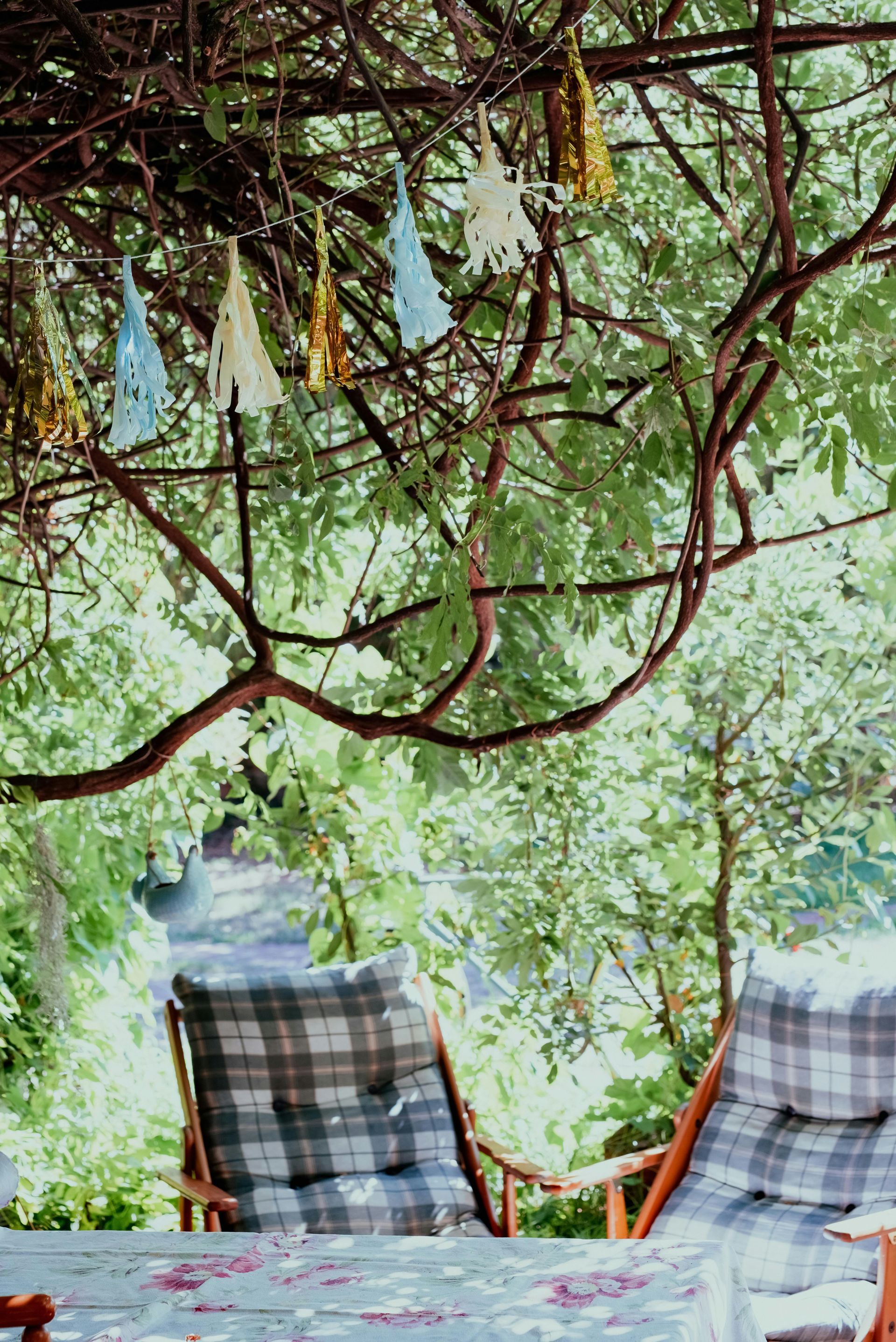 Two plaid chairs sit under a tree draped with festive, colorful tassels, creating a shaded outdoor seating area.