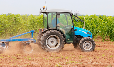 Tractor azul arando un campo polvoriento junto a cultivos verdes.