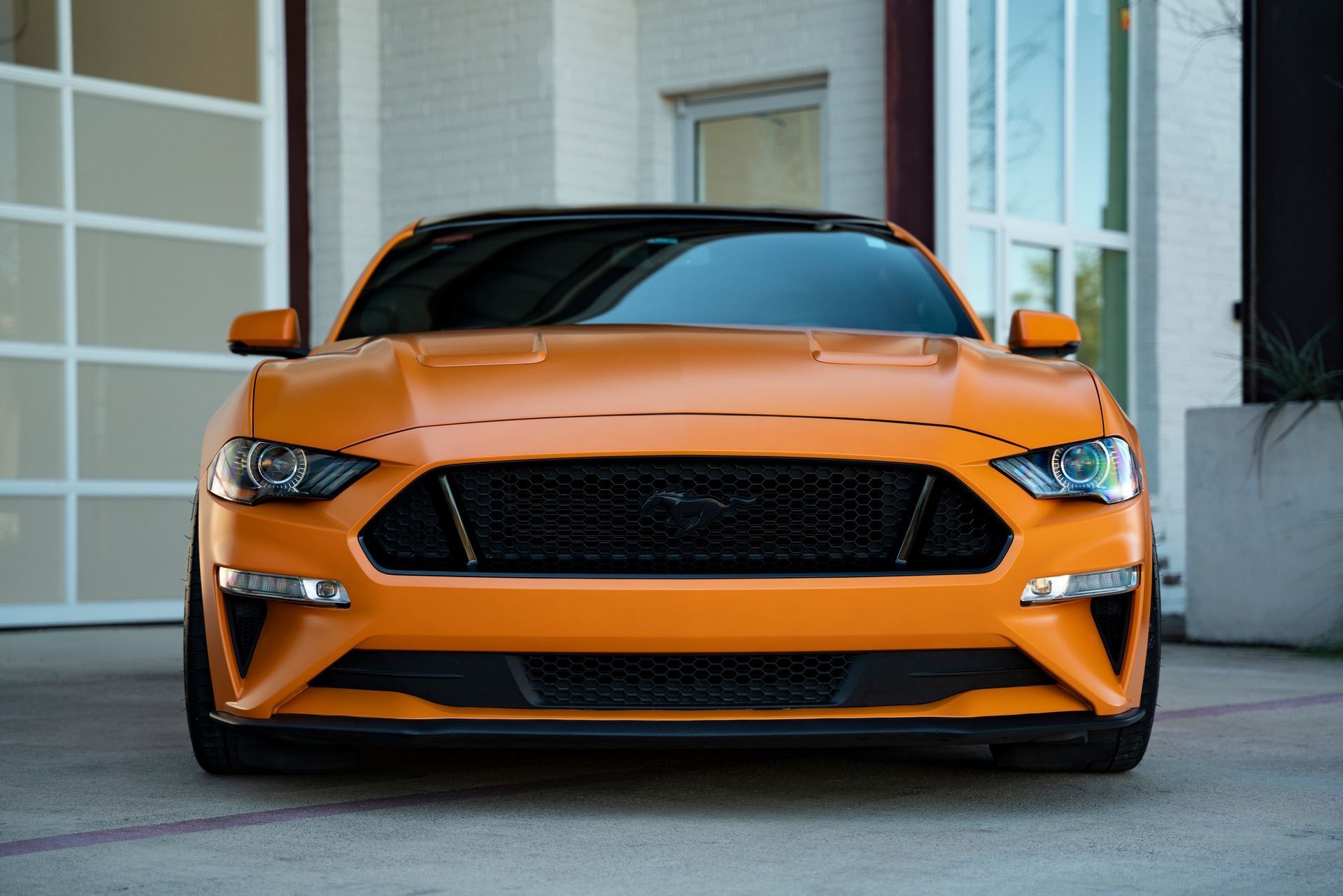 car with ceramic coating and PPF