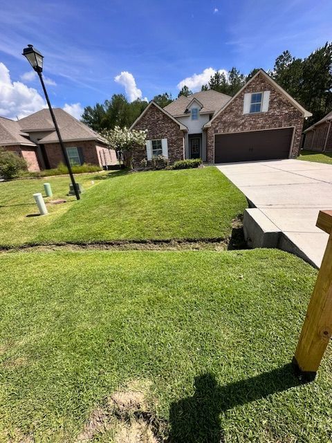 A picture of a front yard in Mandeville, LA.
