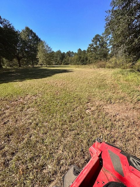 A picture of a big lot in Mandeville, LA.
