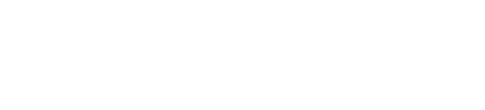 Empty white rectangle with a thin black outline across the top and bottom edges