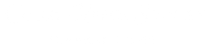 Empty white rectangle with a thin black outline across the top and bottom edges