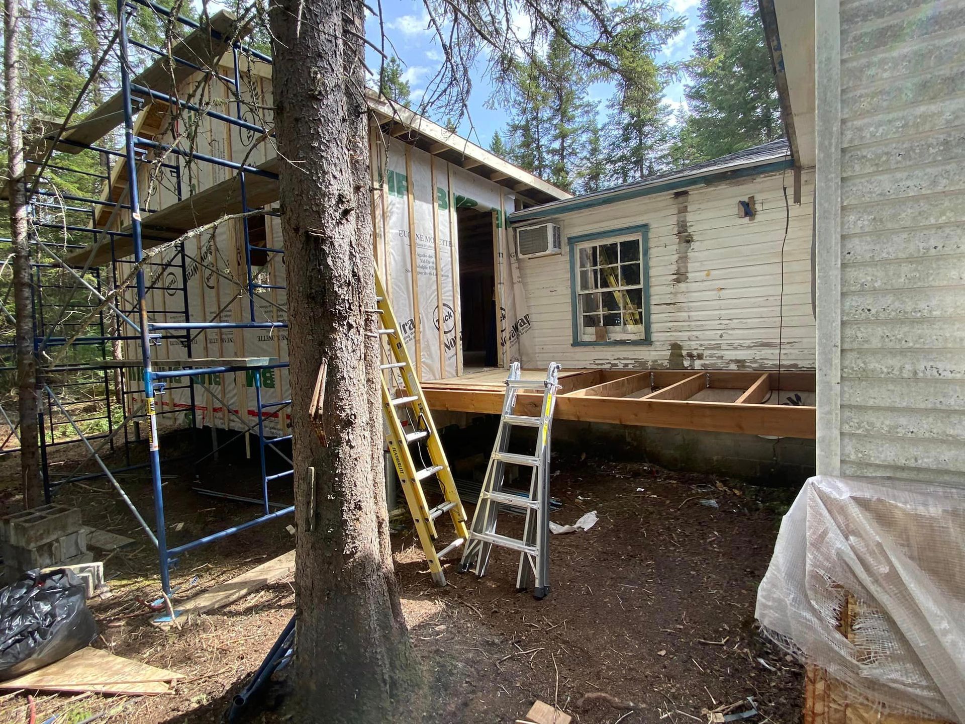 A ladder is sitting next to a tree in front of a house under construction.