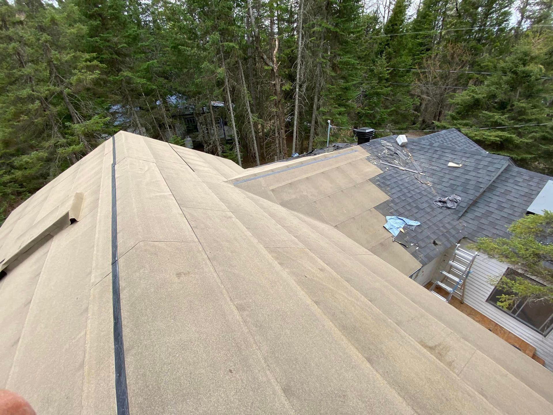 A person is standing on the roof of a house in the woods.
