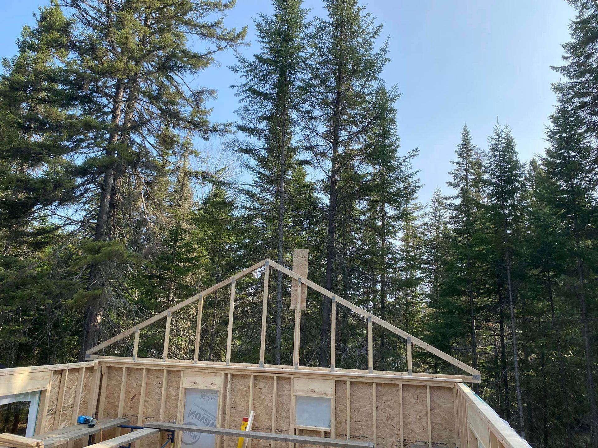 A house is being built in the middle of a forest.