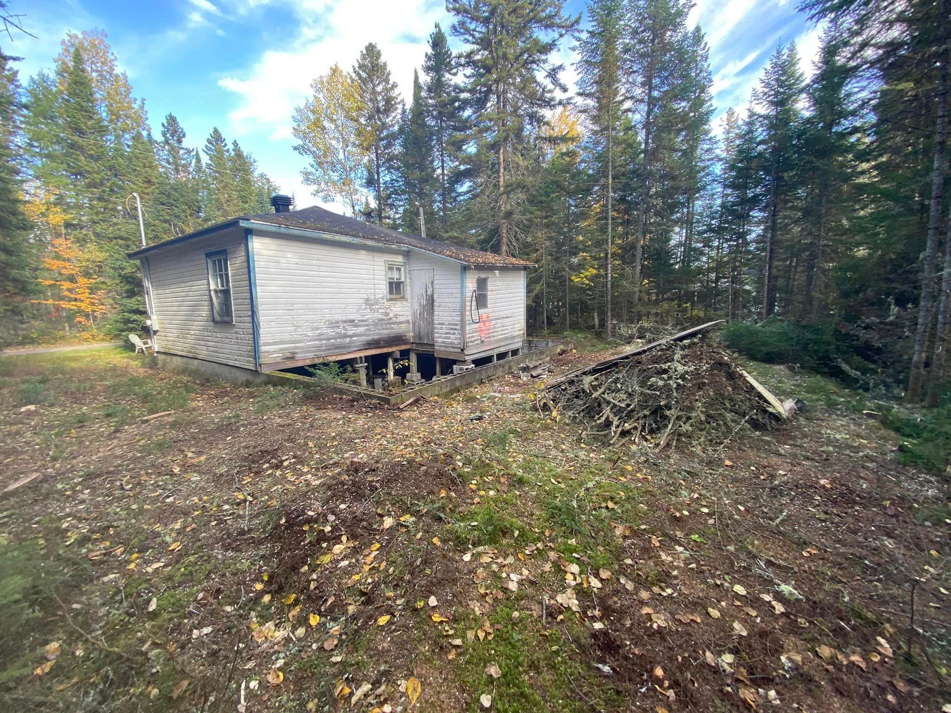 An old house is sitting in the middle of a forest.