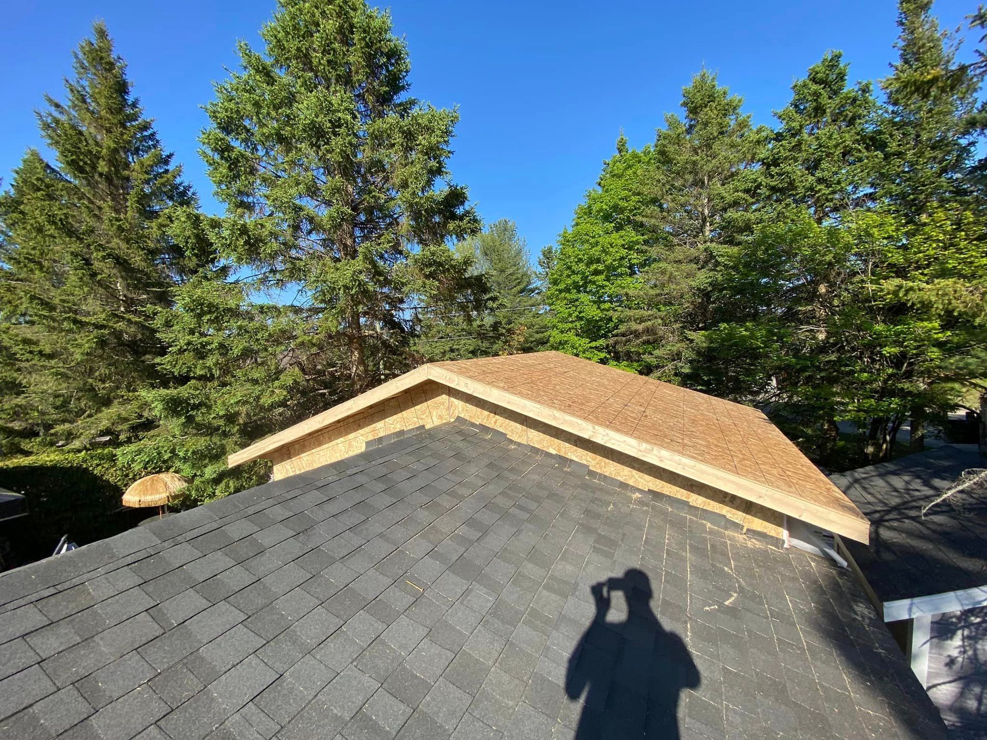 A person is taking a picture of a roof with trees in the background.