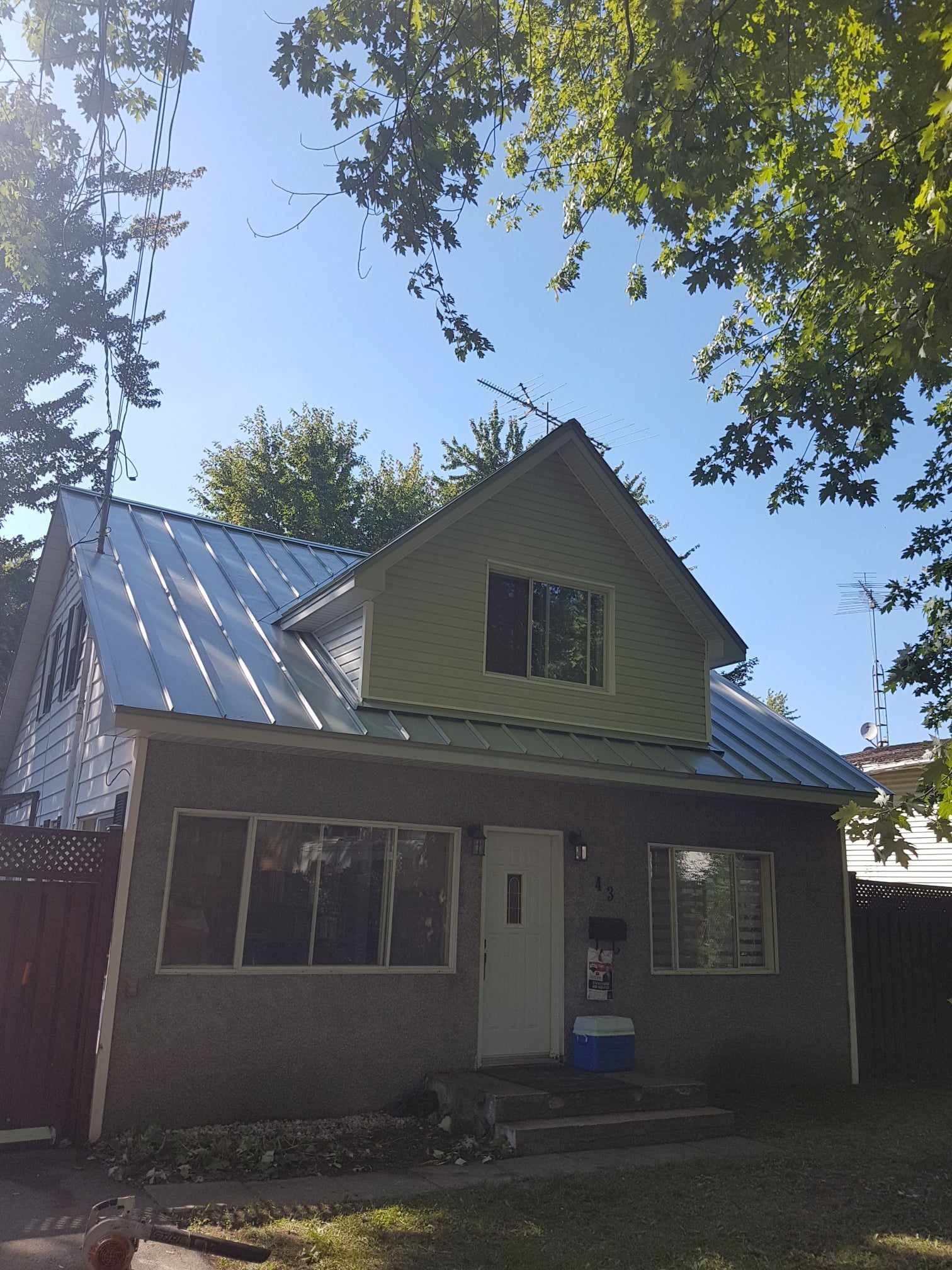 A house with a metal roof is surrounded by trees on a sunny day.