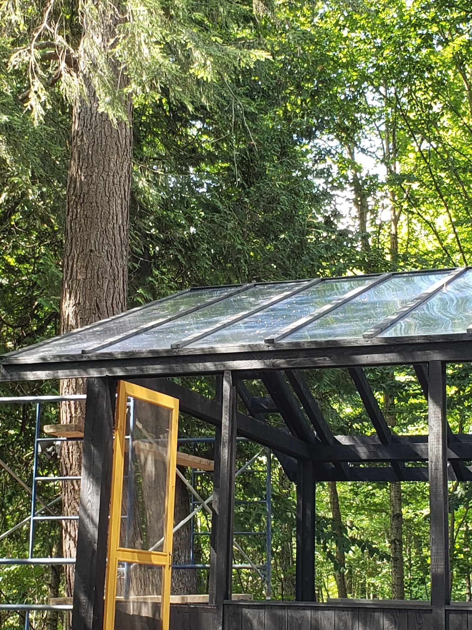 A greenhouse with a glass roof is surrounded by trees.