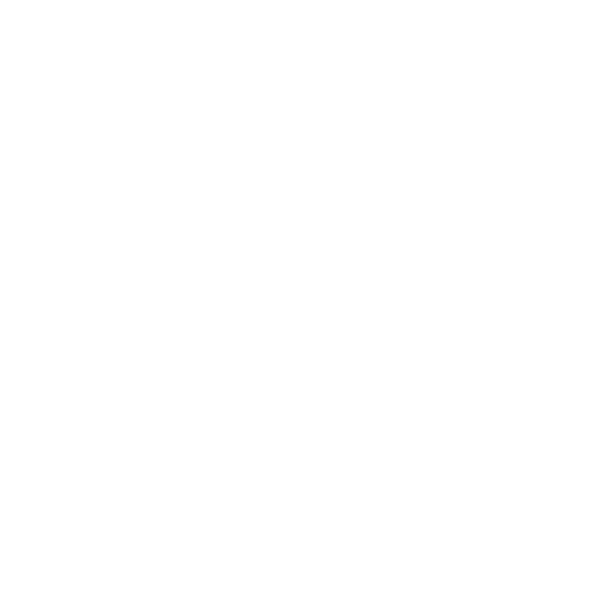 Bullet Check Icon