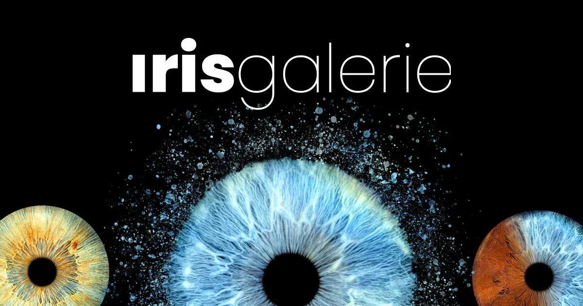 Irisgalerie logo above three colorful close-up irises on a black background