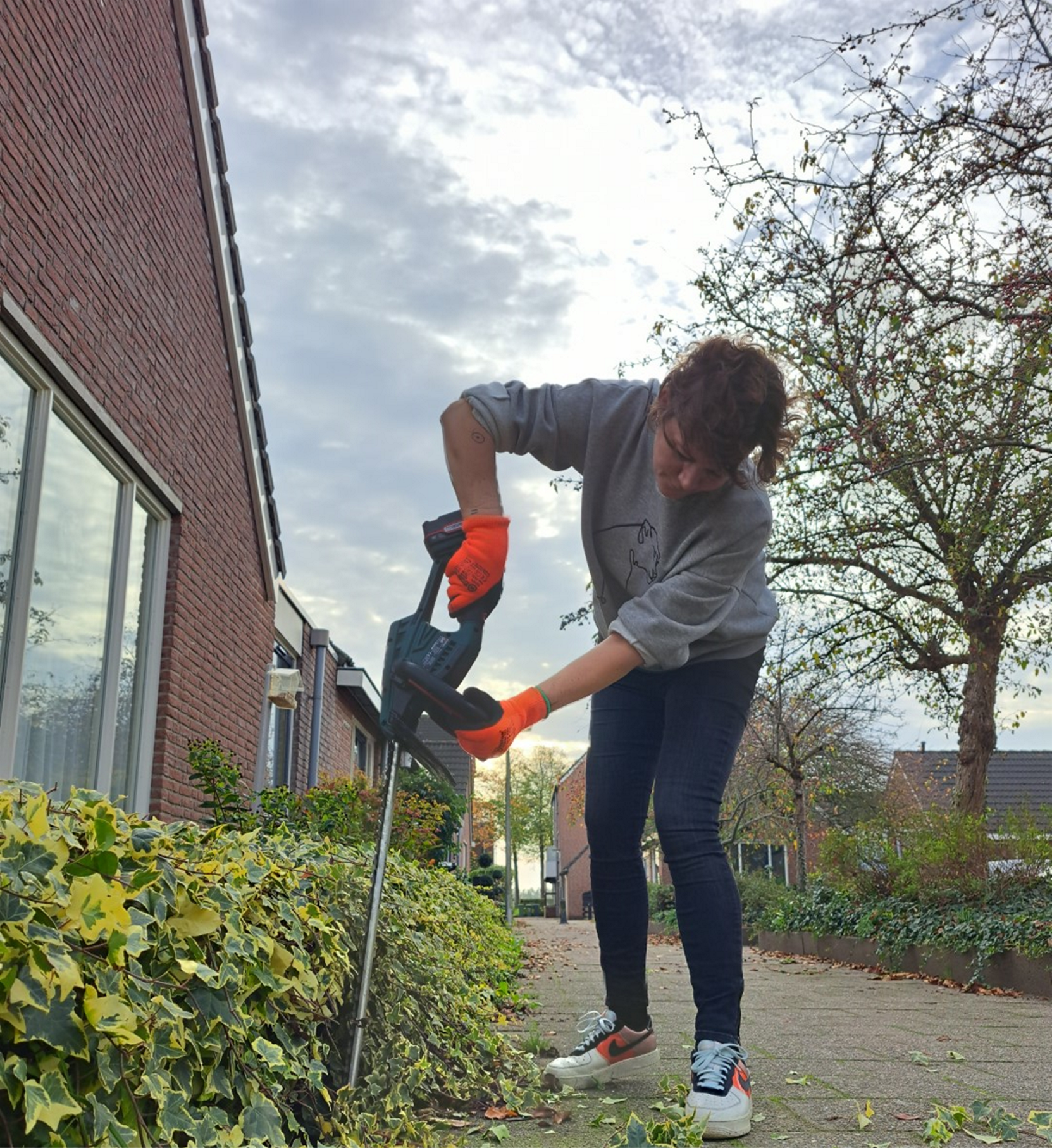Een vrijwilliger van de Klussendienst Zandweerd snoeit een hegje van een wijkbewoner
